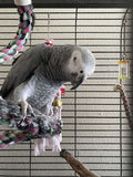 Zara – Female Timneh African Grey Parrot (Fully Weaned & DNA Tested)